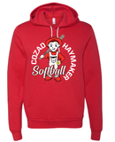 Homer Haymaker Softball Bella Canvas Hoodie